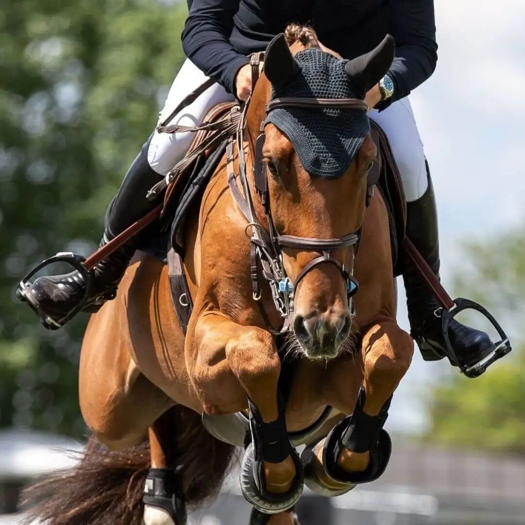 yoga-equestre-deauville